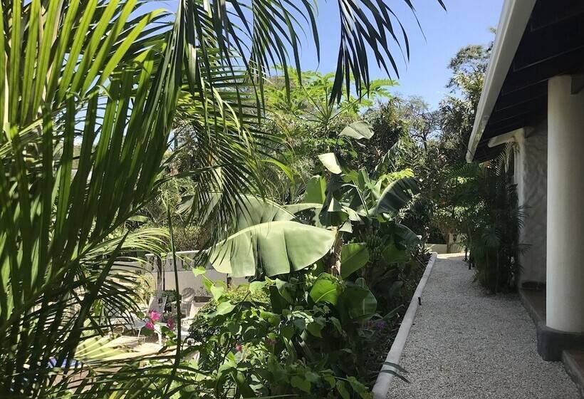 Flores   Adults Only