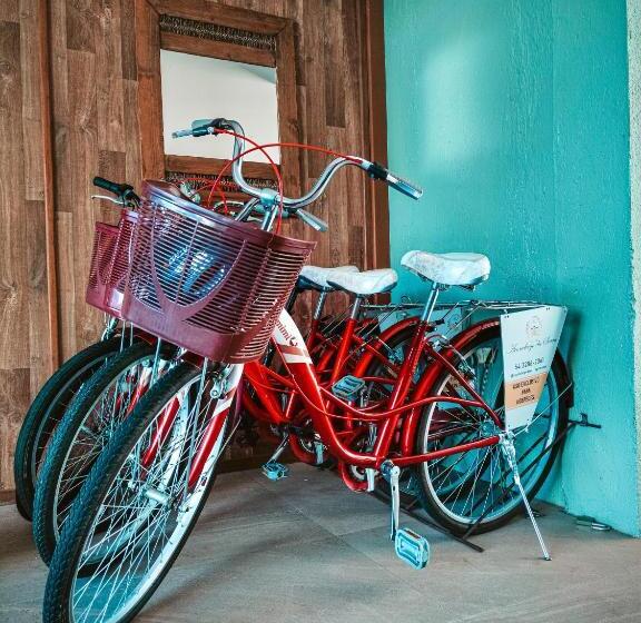 Отель Aconchego Da Serra