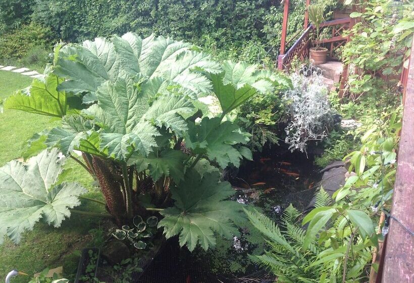 Отель Avonpark House