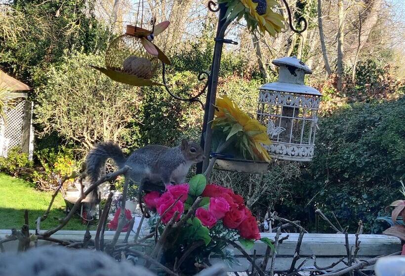 酒店 Avonpark House