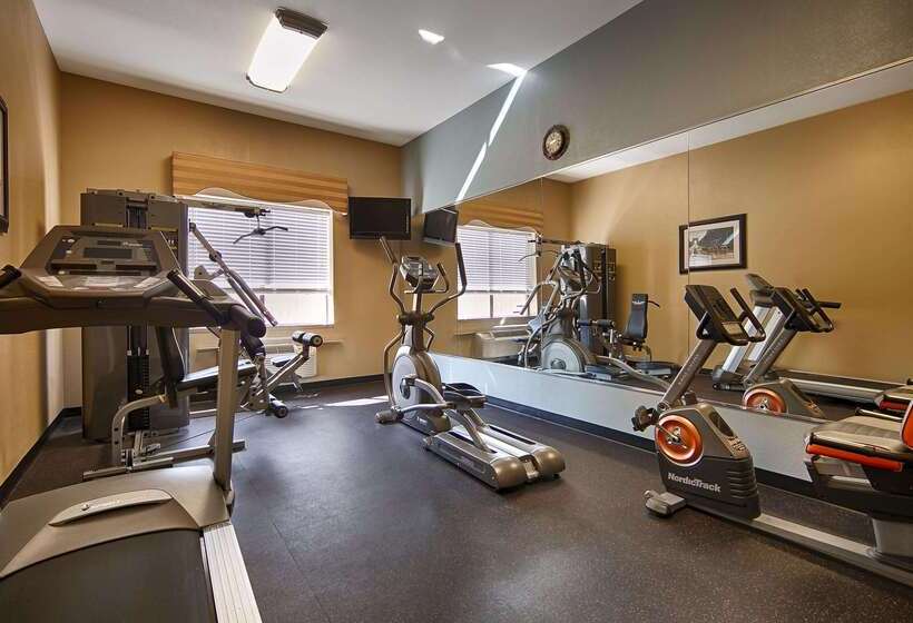 酒店 Best Western Orange Inn & Suites