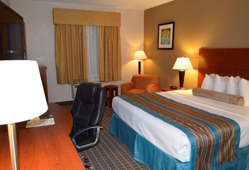 酒店 Best Western Orange Inn & Suites