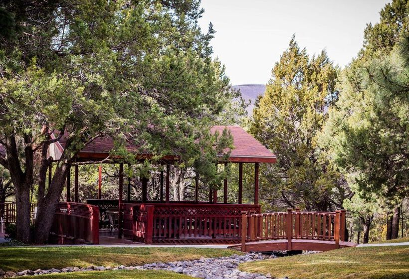 فندق Best Western Pine Springs Inn