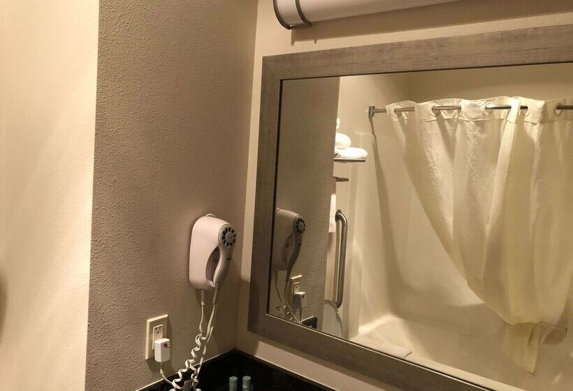 Best Western Plover Stevens Point Hotel & Conference Center