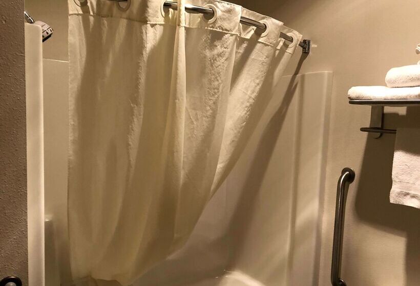 Best Western Plover Stevens Point Hotel & Conference Center