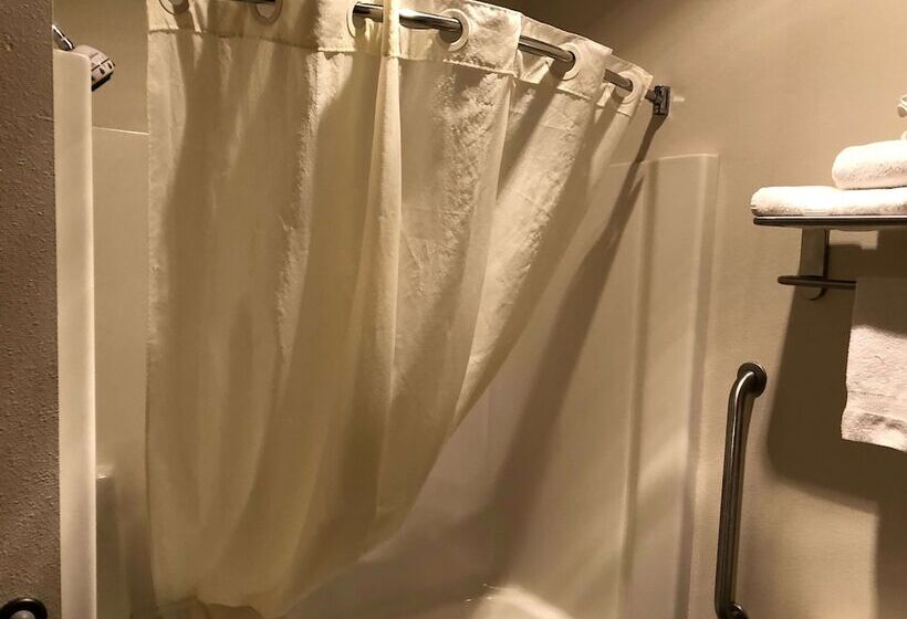 Best Western Plover Stevens Point Hotel & Conference Center