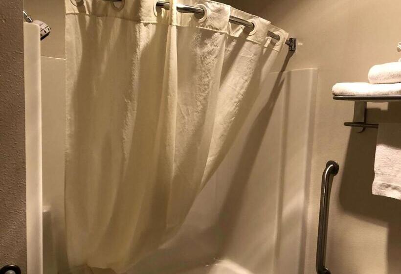 Best Western Plover Stevens Point Hotel & Conference Center