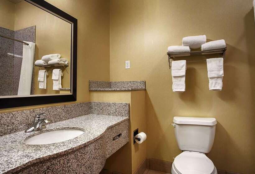 فندق Best Western Plus Desoto Inn & Suites