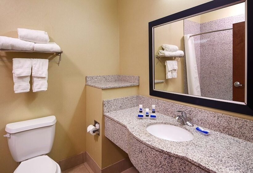 בית מלון כפרי Best Western Plus Desoto Inn & Suites