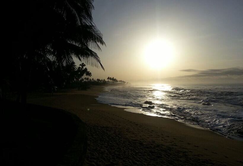 فندق Coconut Grove Beach Resort