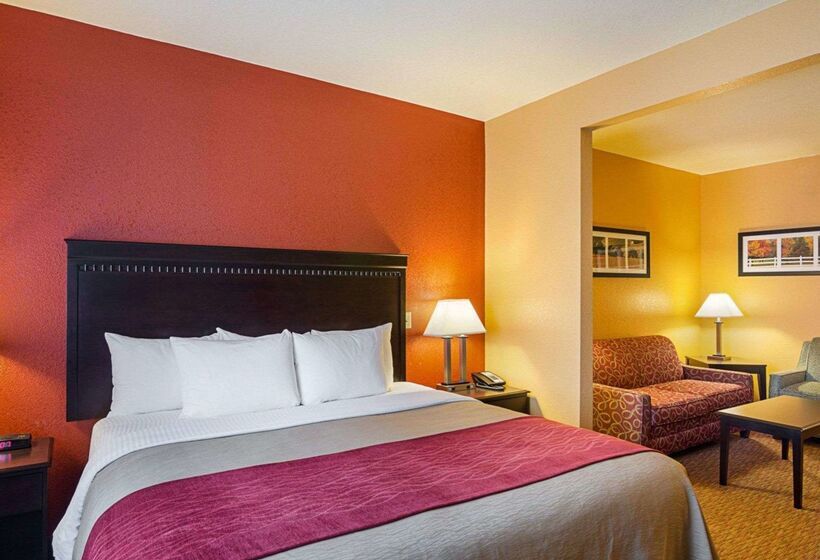 Отель Comfort Inn & Suites Orange   Montpelier