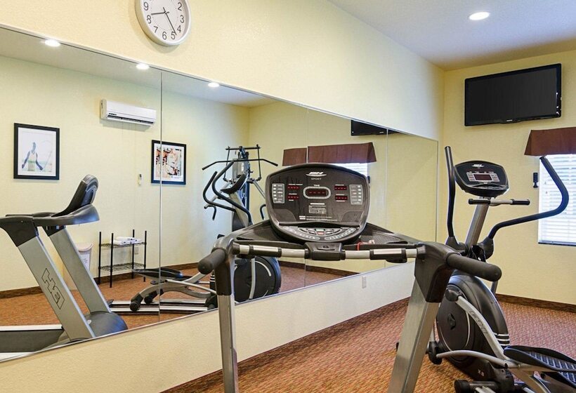 酒店 Comfort Inn & Suites Orange   Montpelier