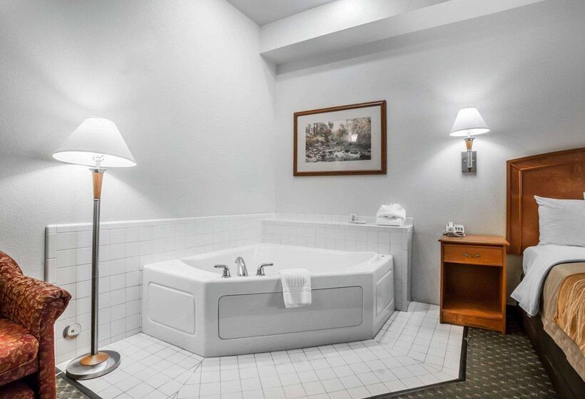 فندق Comfort Inn & Suites