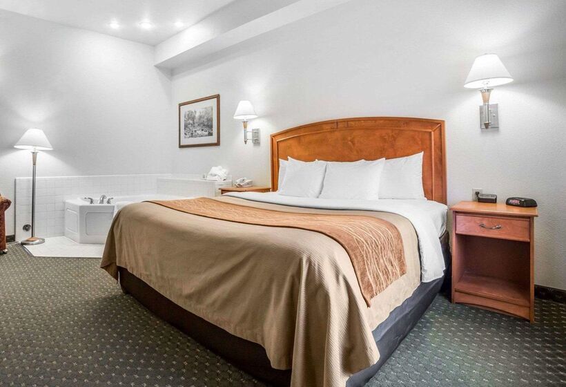 فندق Comfort Inn & Suites