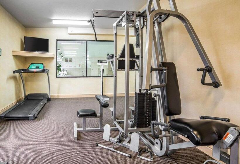 فندق Comfort Inn & Suites