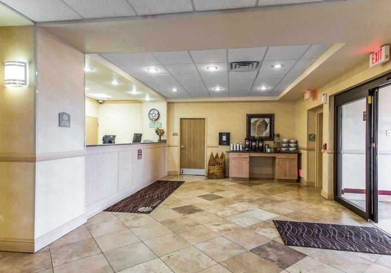 فندق Comfort Inn & Suites