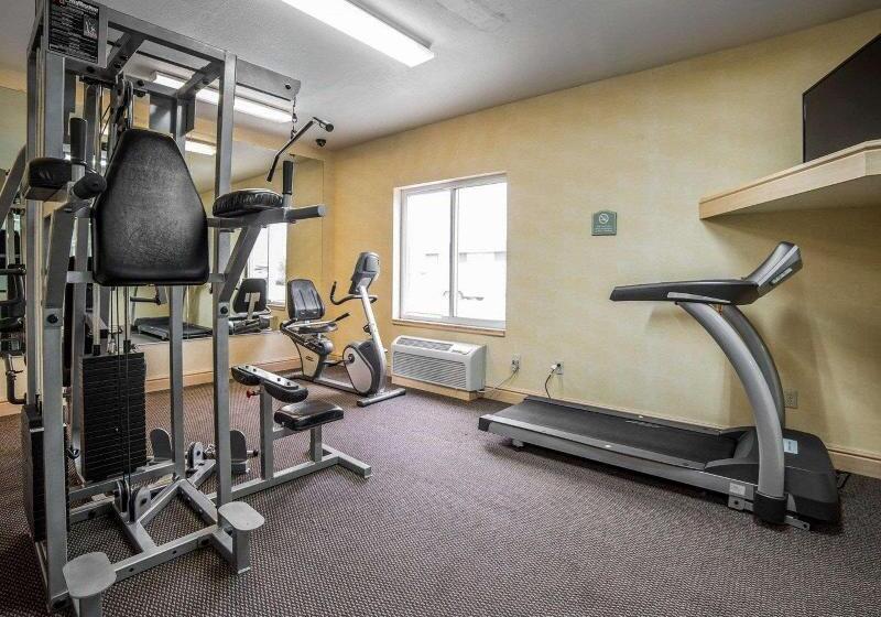 فندق Comfort Inn & Suites