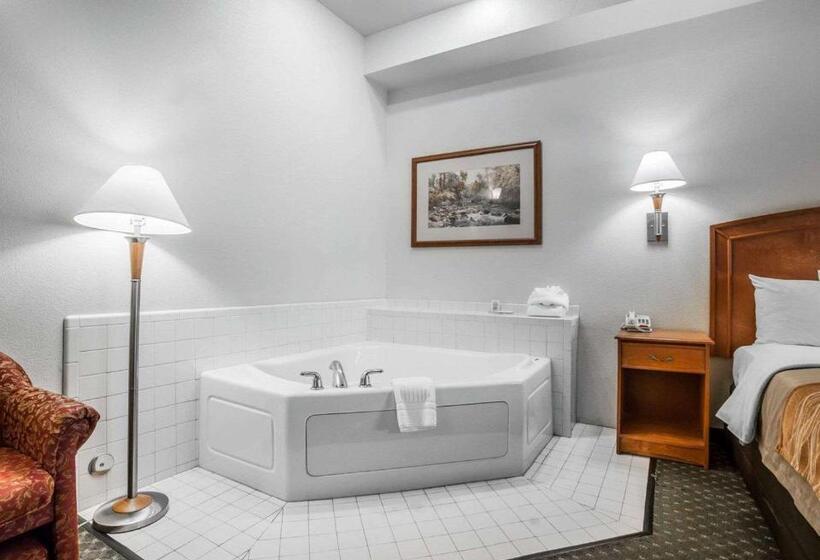 فندق Comfort Inn & Suites