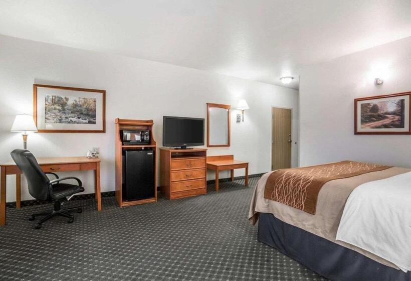 فندق Comfort Inn & Suites