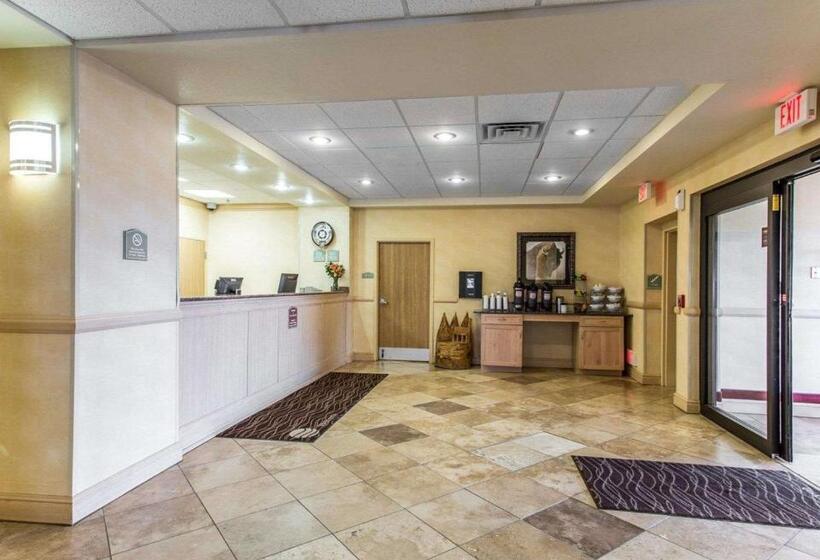 فندق Comfort Inn & Suites