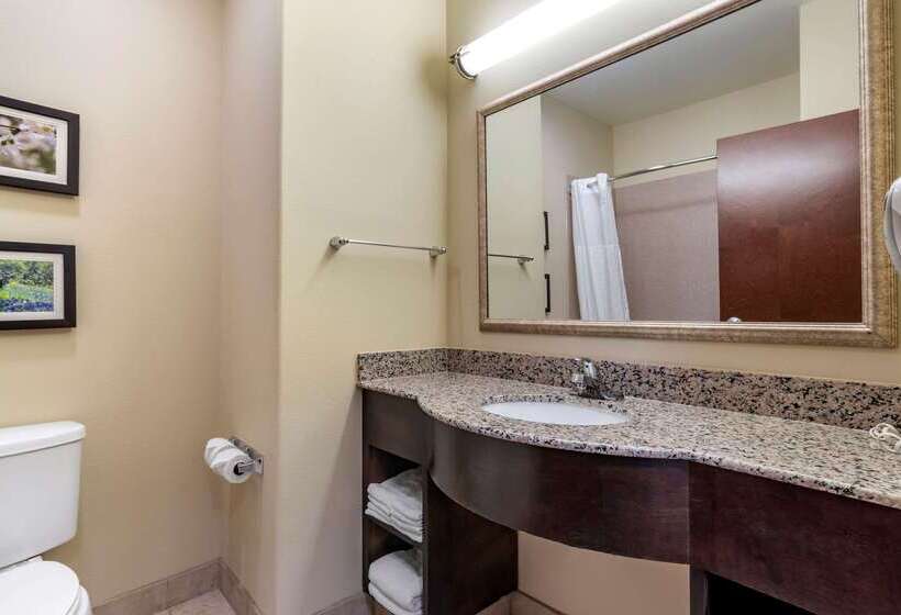 هتل Comfort Inn & Suites Scott West Lafayette