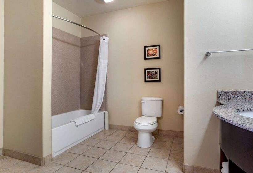 هتل Comfort Inn & Suites Scott West Lafayette