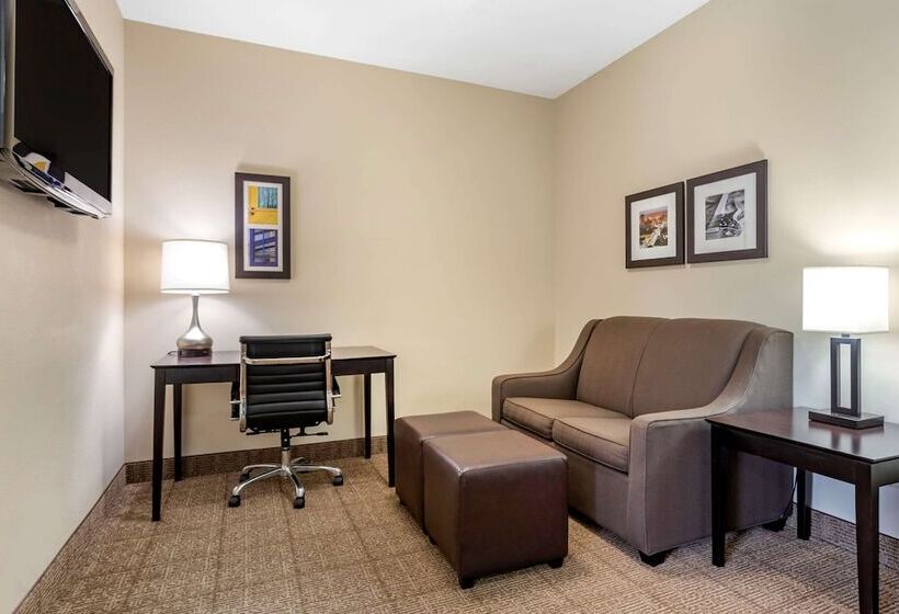 هتل Comfort Inn & Suites Scott West Lafayette