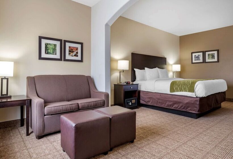 هتل Comfort Inn & Suites Scott West Lafayette
