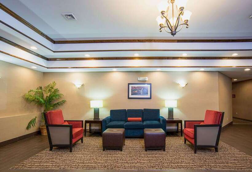 酒店 Comfort Inn Naugatuck Shelton, Ct