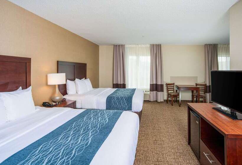酒店 Comfort Inn Naugatuck Shelton, Ct