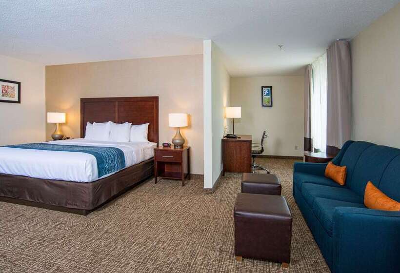 酒店 Comfort Inn Naugatuck Shelton, Ct
