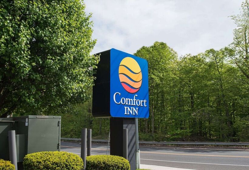 酒店 Comfort Inn Naugatuck Shelton, Ct