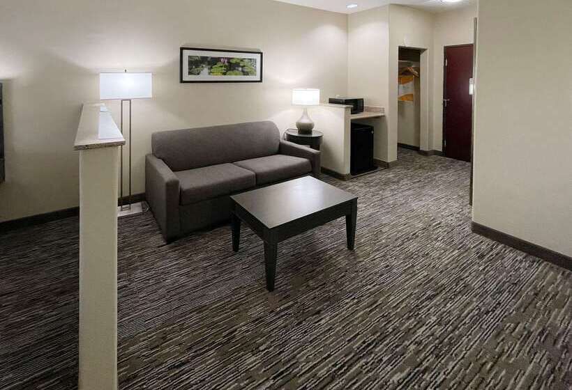 Comfort Inn By Choice Hotels Orange, Tx