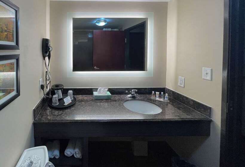 Comfort Inn By Choice Hotels Orange, Tx