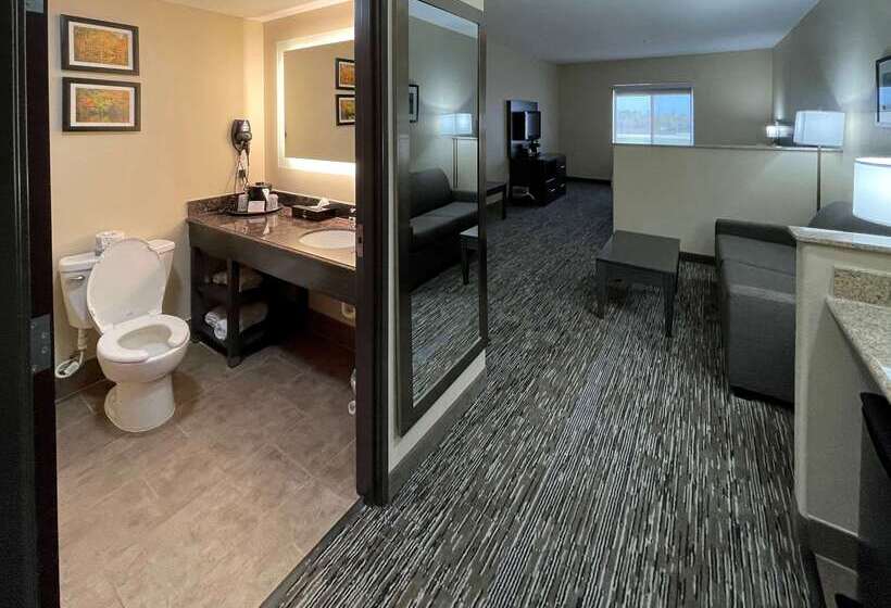 Comfort Inn By Choice Hotels Orange, Tx