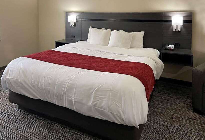 Comfort Inn By Choice Hotels Orange, Tx
