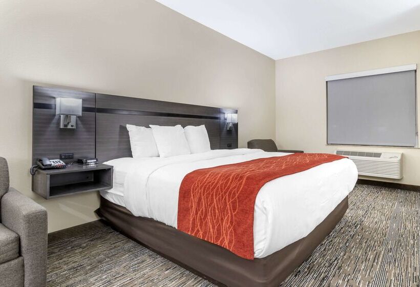 Comfort Inn By Choice Hotels Orange, Tx