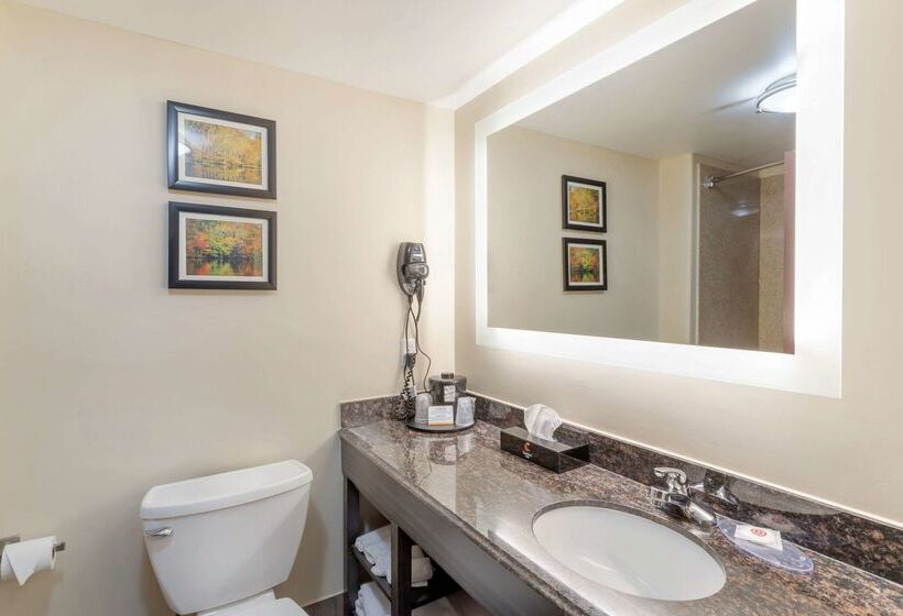 Comfort Inn By Choice Hotels Orange, Tx