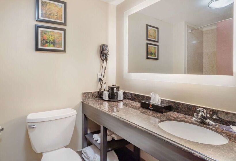 Comfort Inn By Choice Hotels Orange, Tx