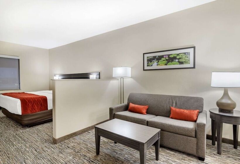 Comfort Inn By Choice Hotels Orange, Tx