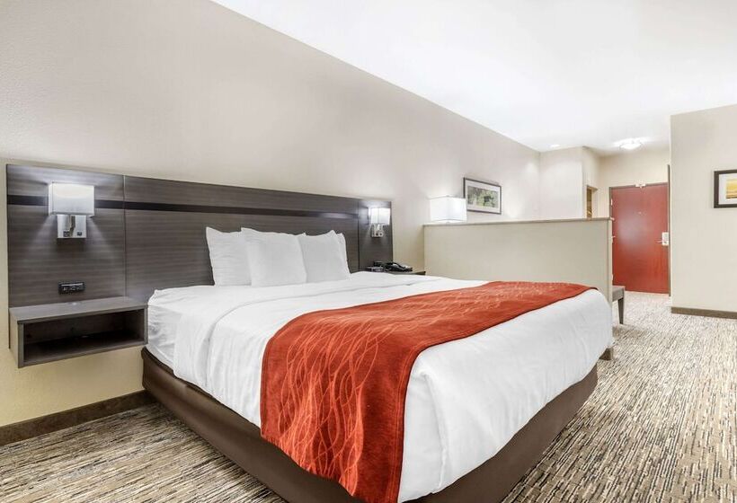 Comfort Inn By Choice Hotels Orange, Tx