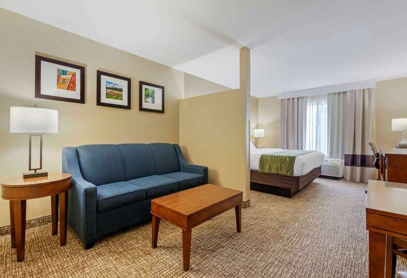 فندق Comfort Inn Ploverstevens Point