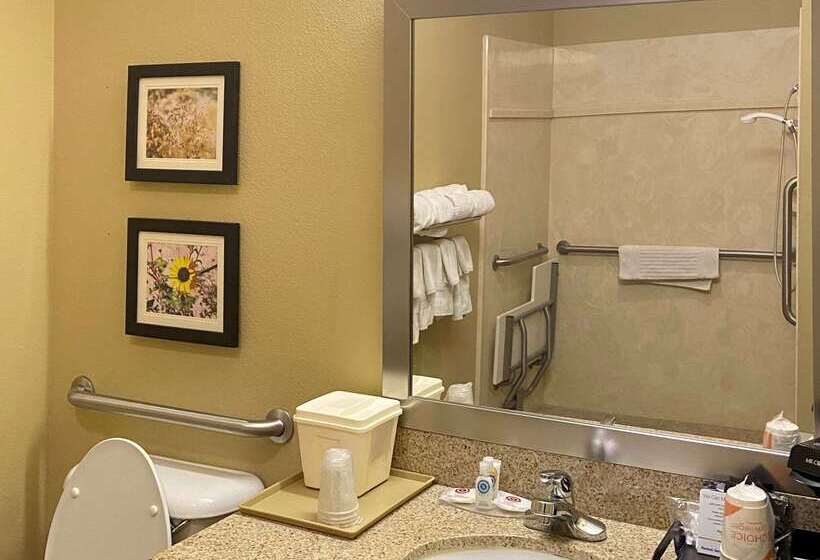 酒店 Comfort Inn & Suites Monahans I20