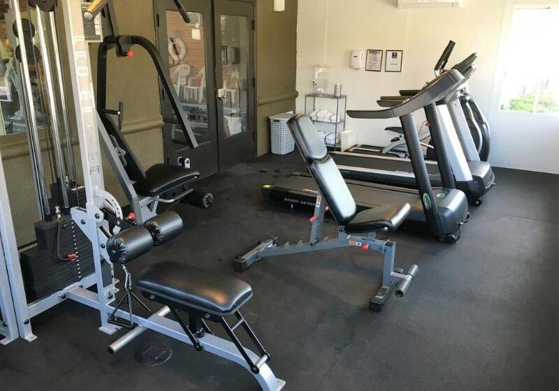 בית מלון כפרי Comfort Inn & Suites Murrieta Temecula Wine Country