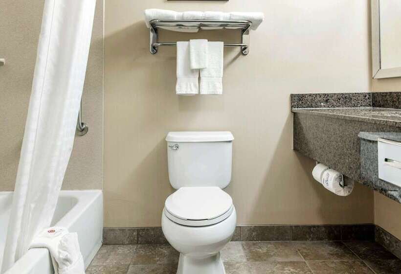 בית מלון כפרי Comfort Inn & Suites Porter Near Indiana Dunes