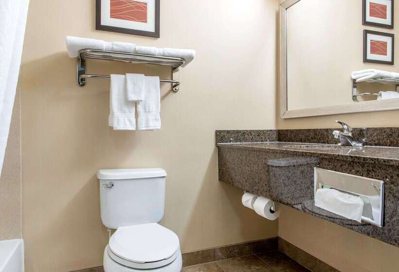 בית מלון כפרי Comfort Inn & Suites Porter Near Indiana Dunes