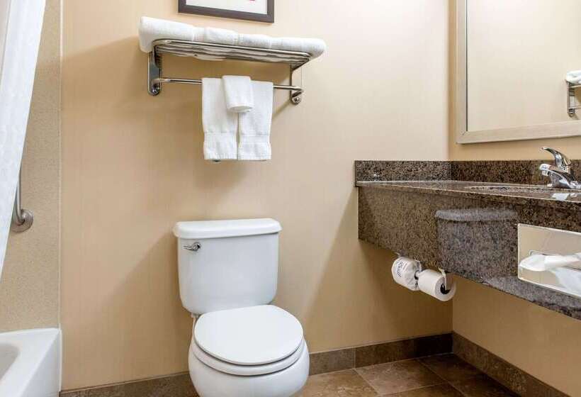 فندق Comfort Inn & Suites Porter Near Indiana Dunes