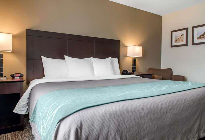 בית מלון כפרי Comfort Inn & Suites Porter Near Indiana Dunes