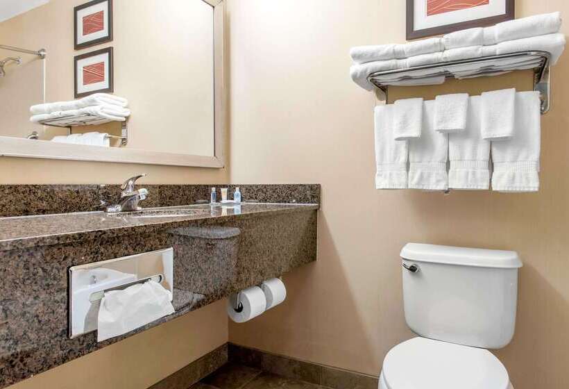 בית מלון כפרי Comfort Inn & Suites Porter Near Indiana Dunes