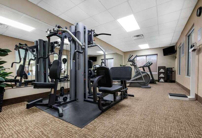 בית מלון כפרי Comfort Inn & Suites Porter Near Indiana Dunes